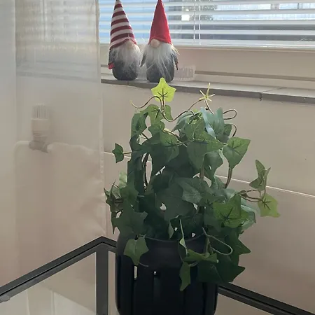 Beautiful With Balcony Near Old * Rauma